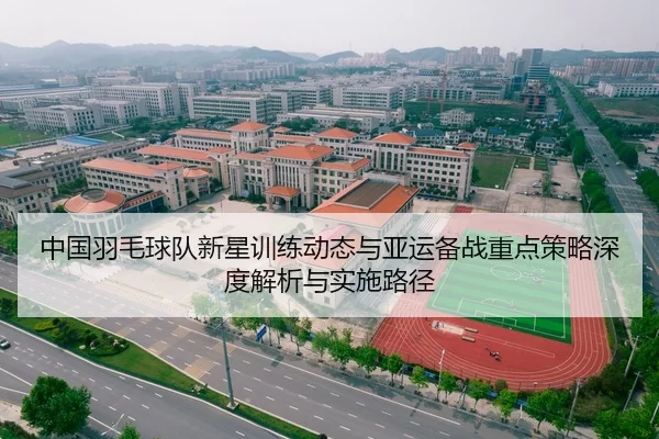 中国羽毛球队新星训练动态与亚运备战重点策略深度解析与实施路径